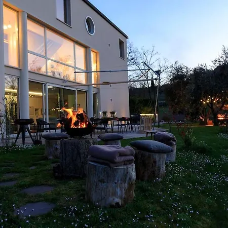 Olivetta * 卡斯泰洛城