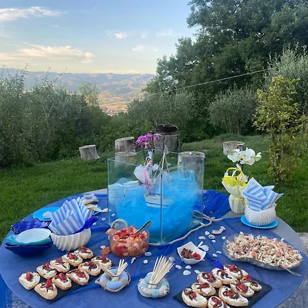 Olivetta * Città di Castello