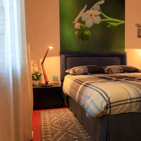 Olivetta * Città di Castello