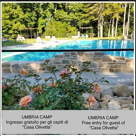 Olivetta Città di Castello